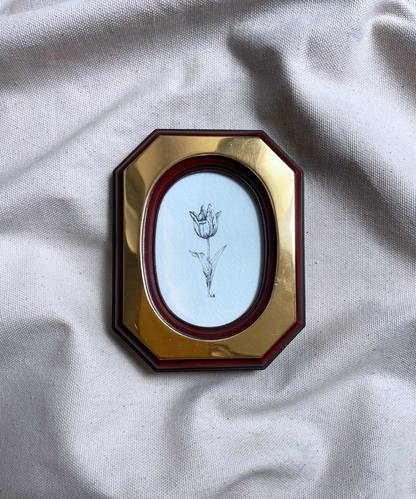 Tulip framed print