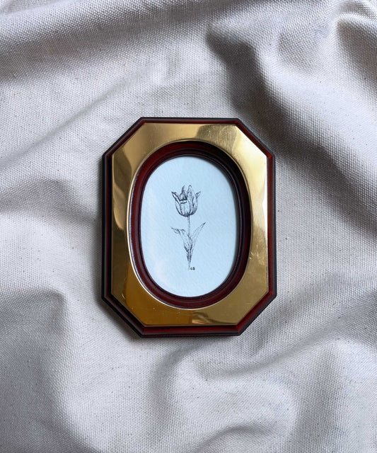 Tulip framed print