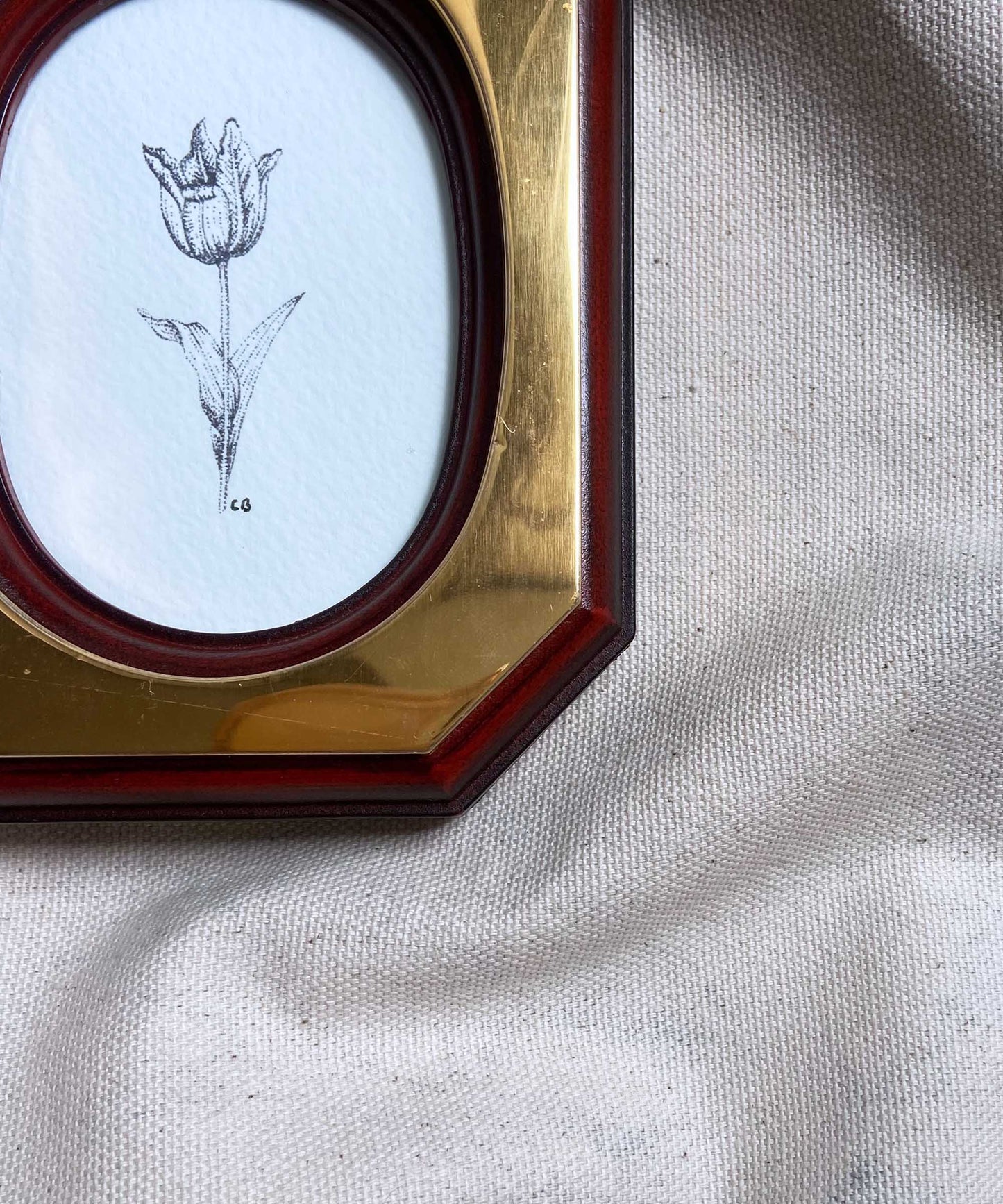 Tulip framed print