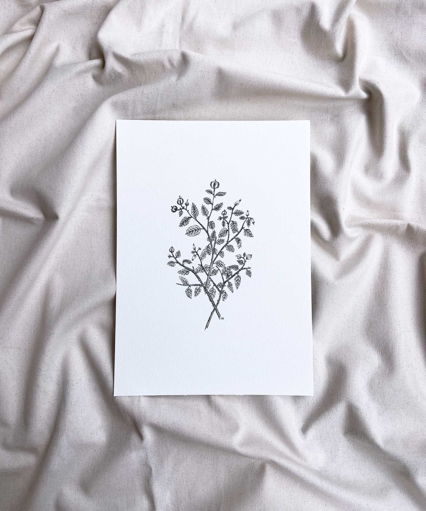Vintage Floral Art Print