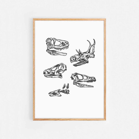 Dinosaur Skeleton Print