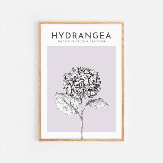 Hydrangea Print