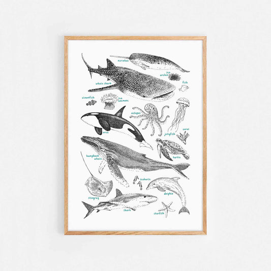 Ocean Animals Print
