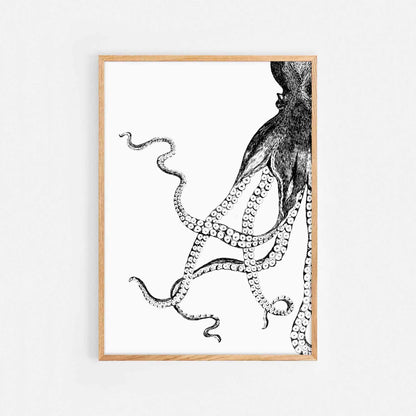 Octopus Print