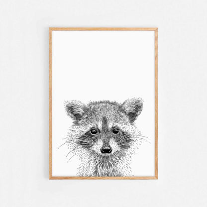 Raccoon Print