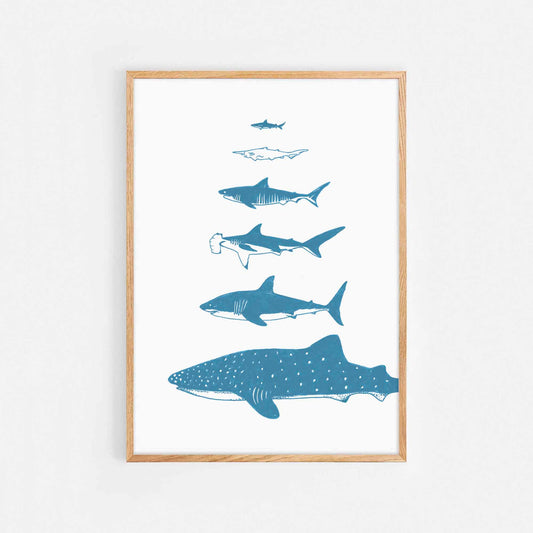 Sharks Print