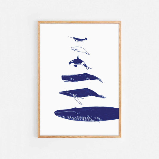 Whales Print
