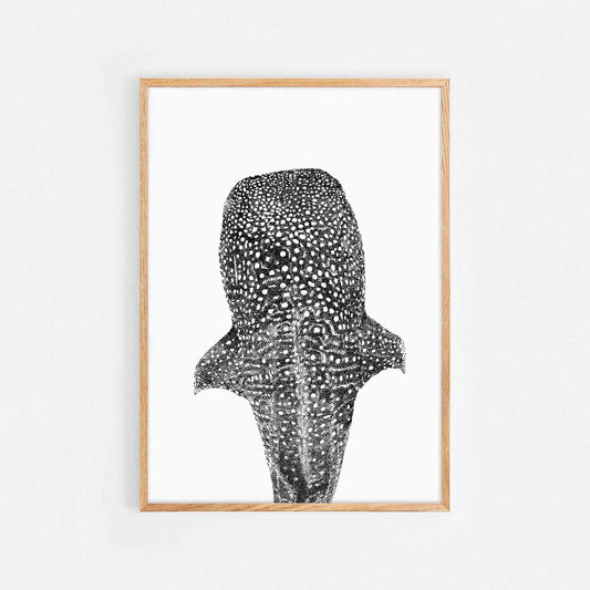 Whale Shark Print