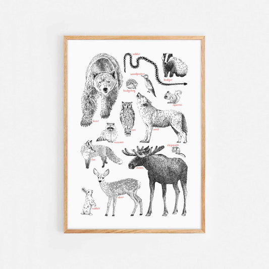 Woodland Animals Print